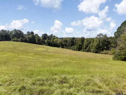 tbd Cr 1513, Jacksonville, TX 75766