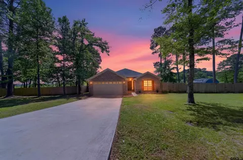 17171 Mary Martin Dr, Flint, TX 75762