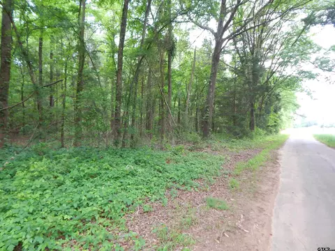 tbd 307 Acre Woodchuck Rd, Pittsburg, TX 75686