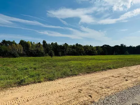 153 Private Rd 5296, Alba, TX 75410