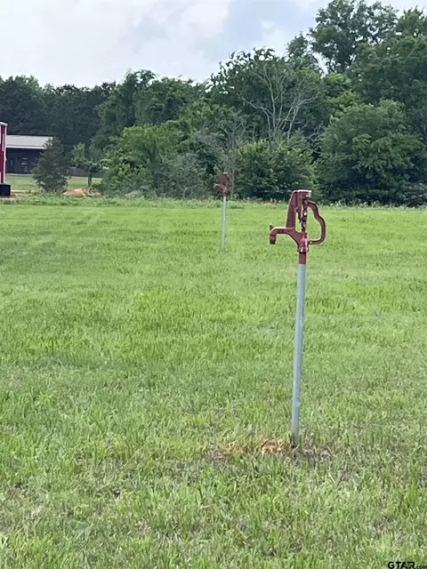 tbd Loop Dr, Frankston, TX 75763 photo 9