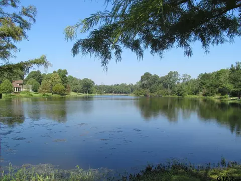 lot1 Cr 2307, Mineola, TX 75773