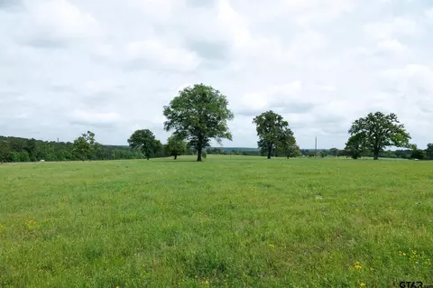 tbd An Cr 336, Palestine, TX 75803