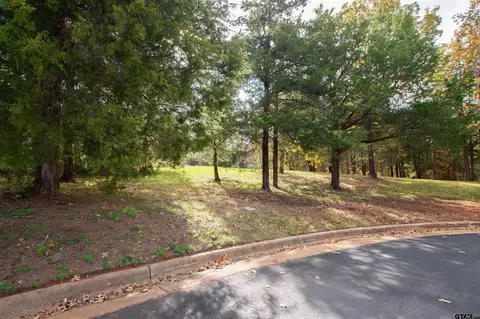 128 Lake Lou Ella Dr, Bullard, TX 75757