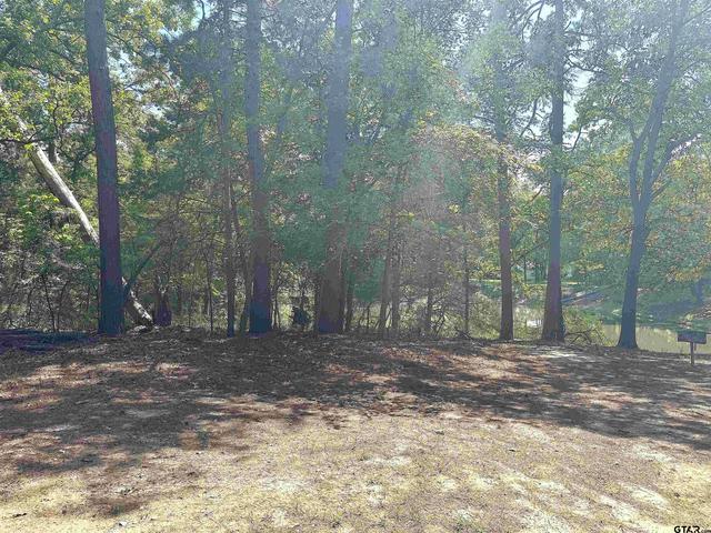 lot45 Cypress Creek Dr, Mount Vernon, TX 75457