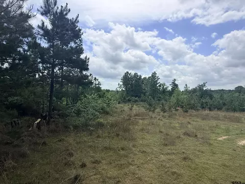 10417 Cr 415, Henderson, TX 75654