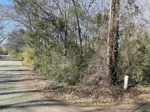 tbd E 12th, Mount Pleasant, TX 75455 photo 3
