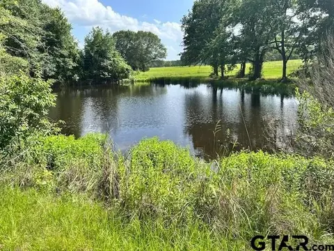 0 Vz County Road 1128, Fruitvale, TX 75127