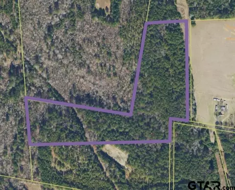 18660 Cr 259, Troup, TX 75789