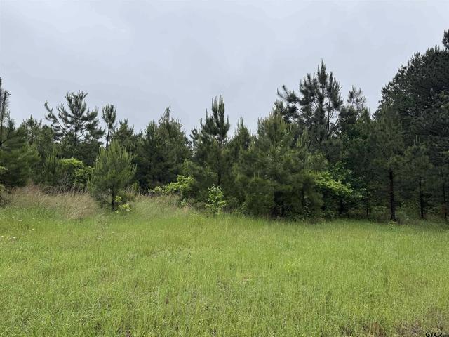 3369 Cr 2472, Naples, TX 75568