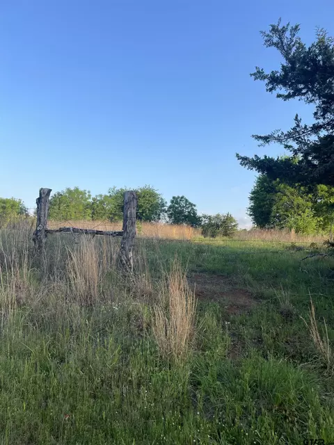 tbd Cr 2222, Pittsburg, TX 75686