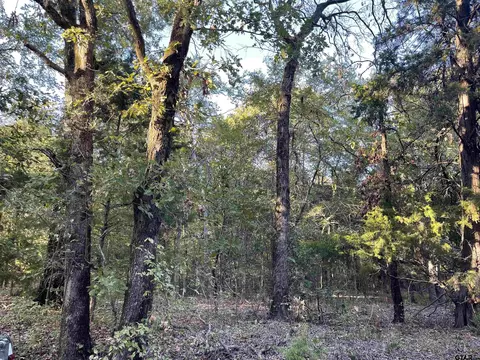 0 Cr 4710, Larue, TX 75770