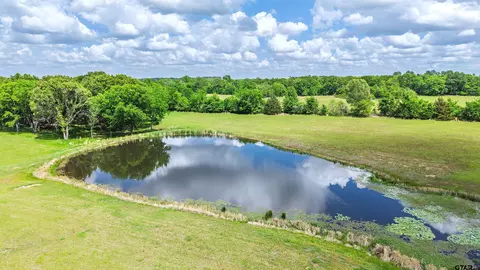 lot10 Pr 5291, Yantis, TX 75497