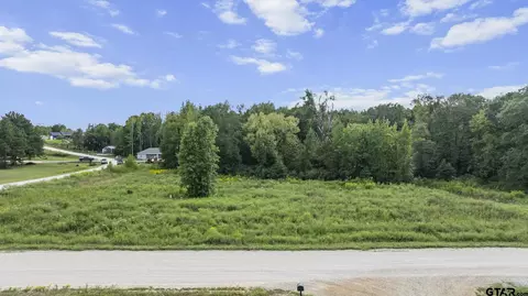 16404 Lepanto Ln, Winona, TX 75792