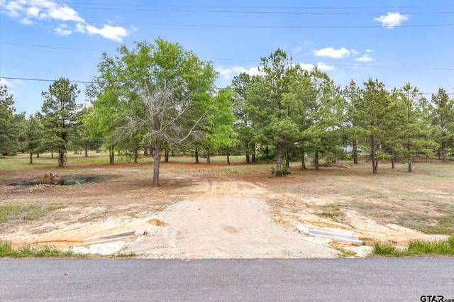 00 Hwy 69, Alba, TX 75410