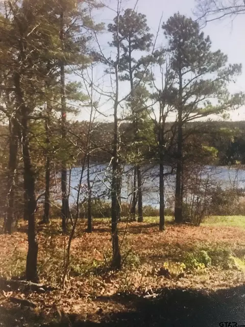 lot17 Cr 3545, Hawkins, TX 75765