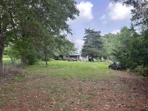 141 Pr 6252, Mineola, TX 75773