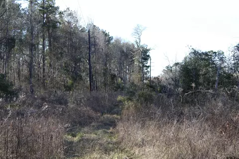 tbd Cr 1627- 10 Acres, Rusk, TX 75785