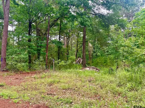 19795 Creekside Dr, Flint, TX 75762