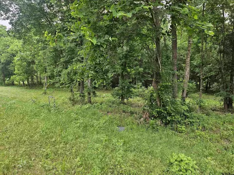 22409 Fm 838, Overton, TX 75684