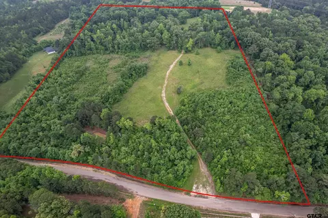 22888 Cr 244, Overton, TX 75684