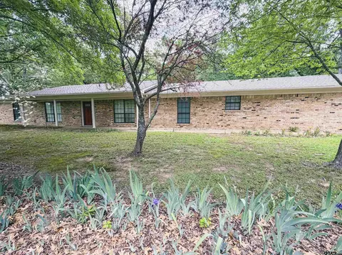 1524 Fm 993, Pittsburg, TX 75686