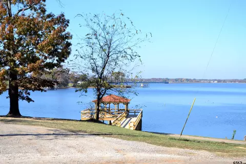 174 Kickapoo, Quitman, TX 75783 photo 21