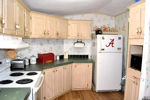 174 Kickapoo, Quitman, TX 75783 photo 9