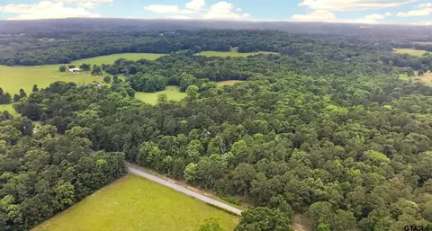 tbd Cr 3603, Brownsboro, TX 75756