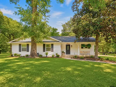 309 S King Lake Rd, Scroggins, TX 75480