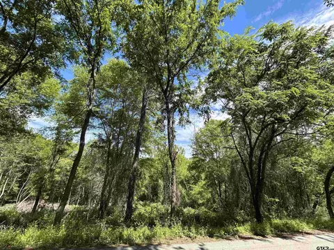 13912 Country Road 1250, Tyler, TX 75709