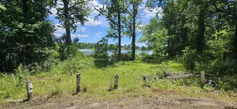 tbd Cr 2290, Mineola, TX 75773