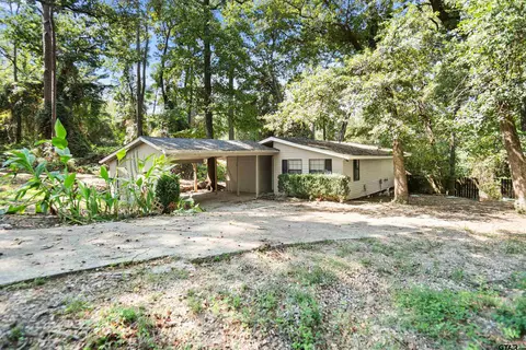 20954 Lakeview Dr, Flint, TX 75762