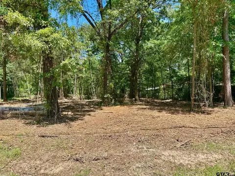 21041 Forest Grove Dr, Chandler, TX 75758
