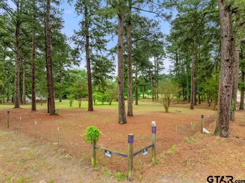 541 Cr 2745, Mineola, TX 75773