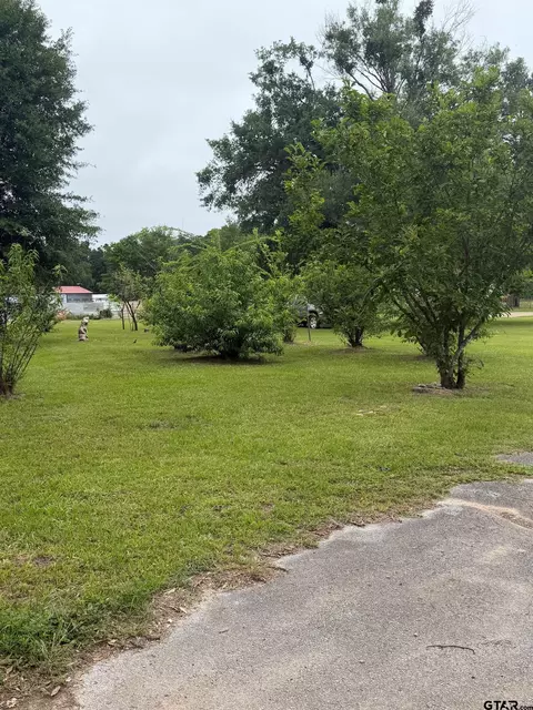 tbd Cutter Dr, Frankston, TX 75763 photo 2