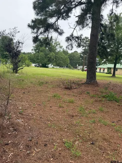 0 Cutter Dr, Frankston, TX 75763