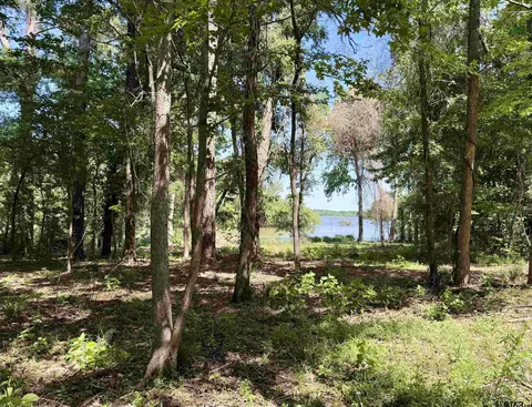 10162 Cr 3202, Chandler, TX 75758