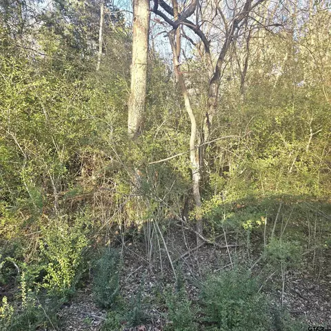 Tbp Rollingwood Hills Dr, Bullard, TX 75757
