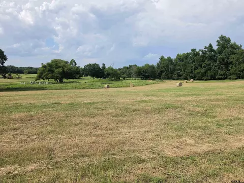 22479 Old Tyler Rd, Troup, TX 75789