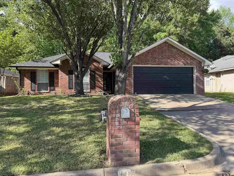 411 Frederick Cir, Flint, TX 75762