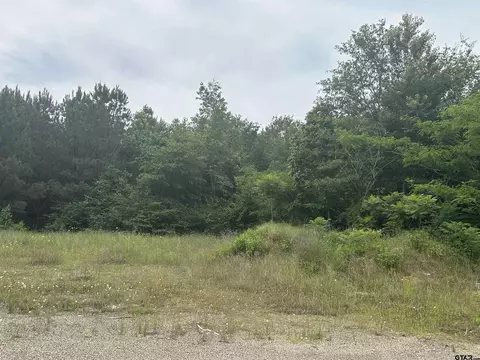 Tba E Hwy 31, Tyler, TX 75705