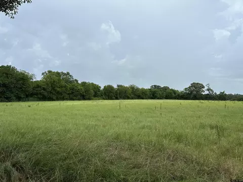 3697 An County Road 309 Tract 2, Frankston, TX 75763