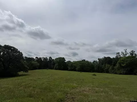 tbd Cr 1404 -6030 Acres, Jacksonville, TX 75766
