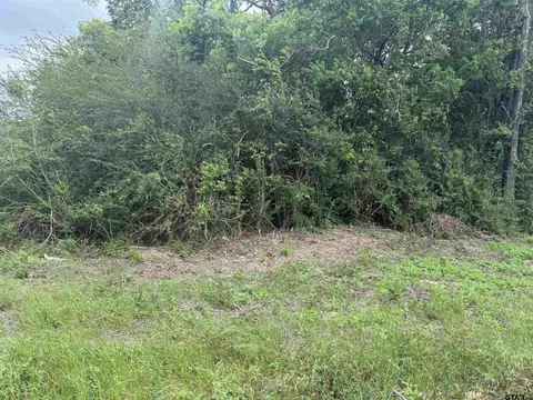 tbd Fm 347 - 108 Acres, Jacksonville, TX 75766