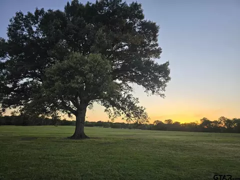 tbd Cr 4509, Ben Wheeler, TX 75754