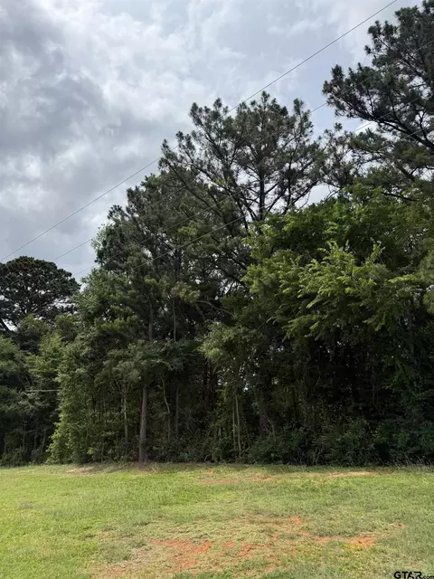 Tba Hwy 155, Palestine, TX 75803