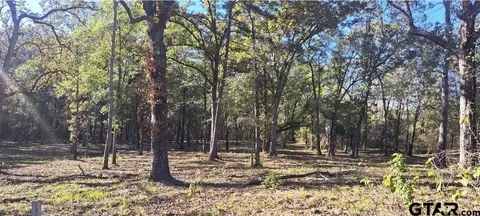 tbd Cr 4147, Lindale, TX 75771