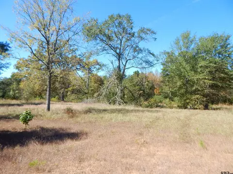 tbd 35 Acres Hwy 155, Gilmer, TX 75644