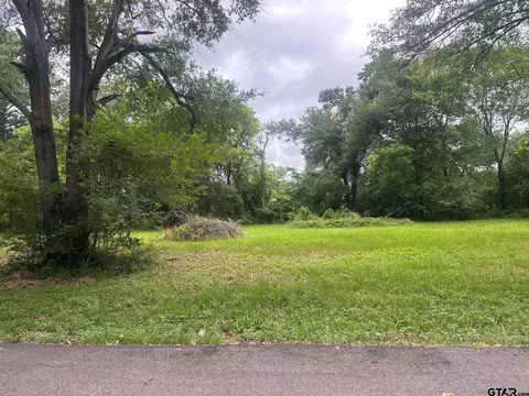0 Ricky Dr, Palestine, TX 75802